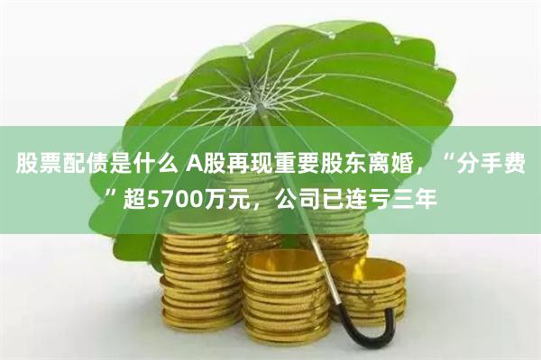 股票配债是什么 A股再现重要股东离婚，“分手费”超5700万元，公司已连亏三年