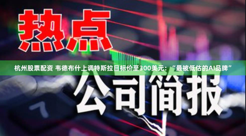 杭州股票配资 韦德布什上调特斯拉目标价至300美元：“最被低估的AI品牌”