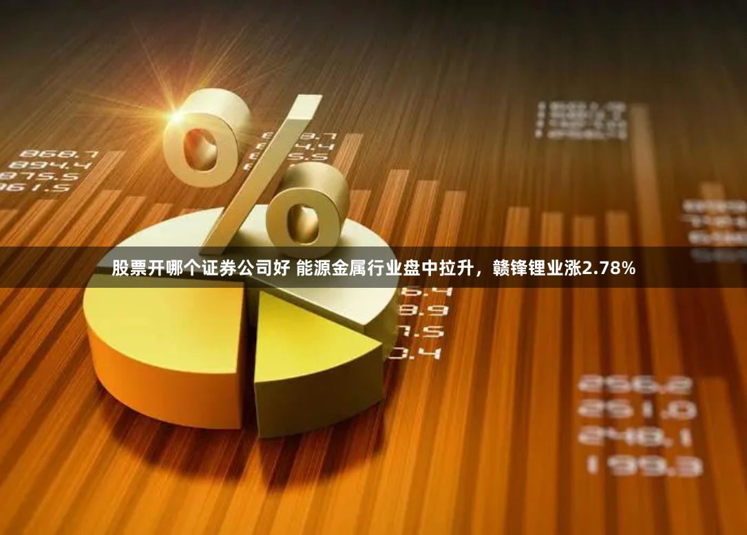 股票开哪个证券公司好 能源金属行业盘中拉升，赣锋锂业涨2.78%