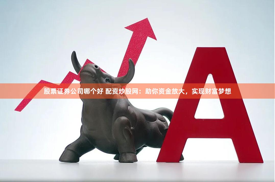 股票证券公司哪个好 配资炒股网：助你资金放大，实现财富梦想